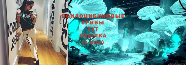 дживик Нефтекумск